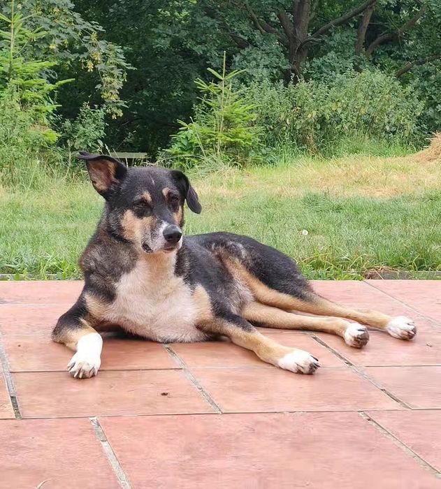 Roxi czeka na Ciebie