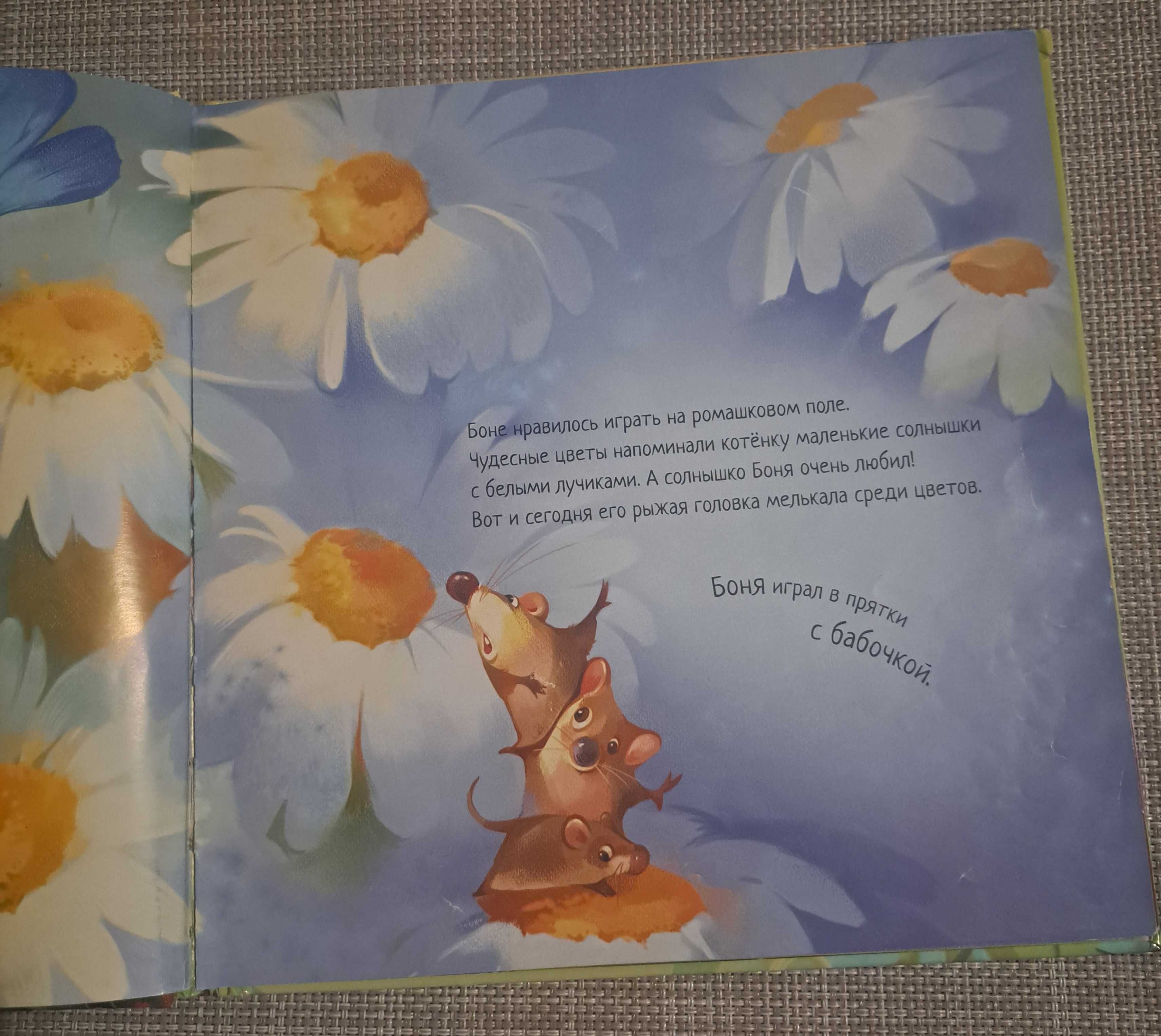 Książka dla dzieci Котёнок и солнышко / po rosyjsku