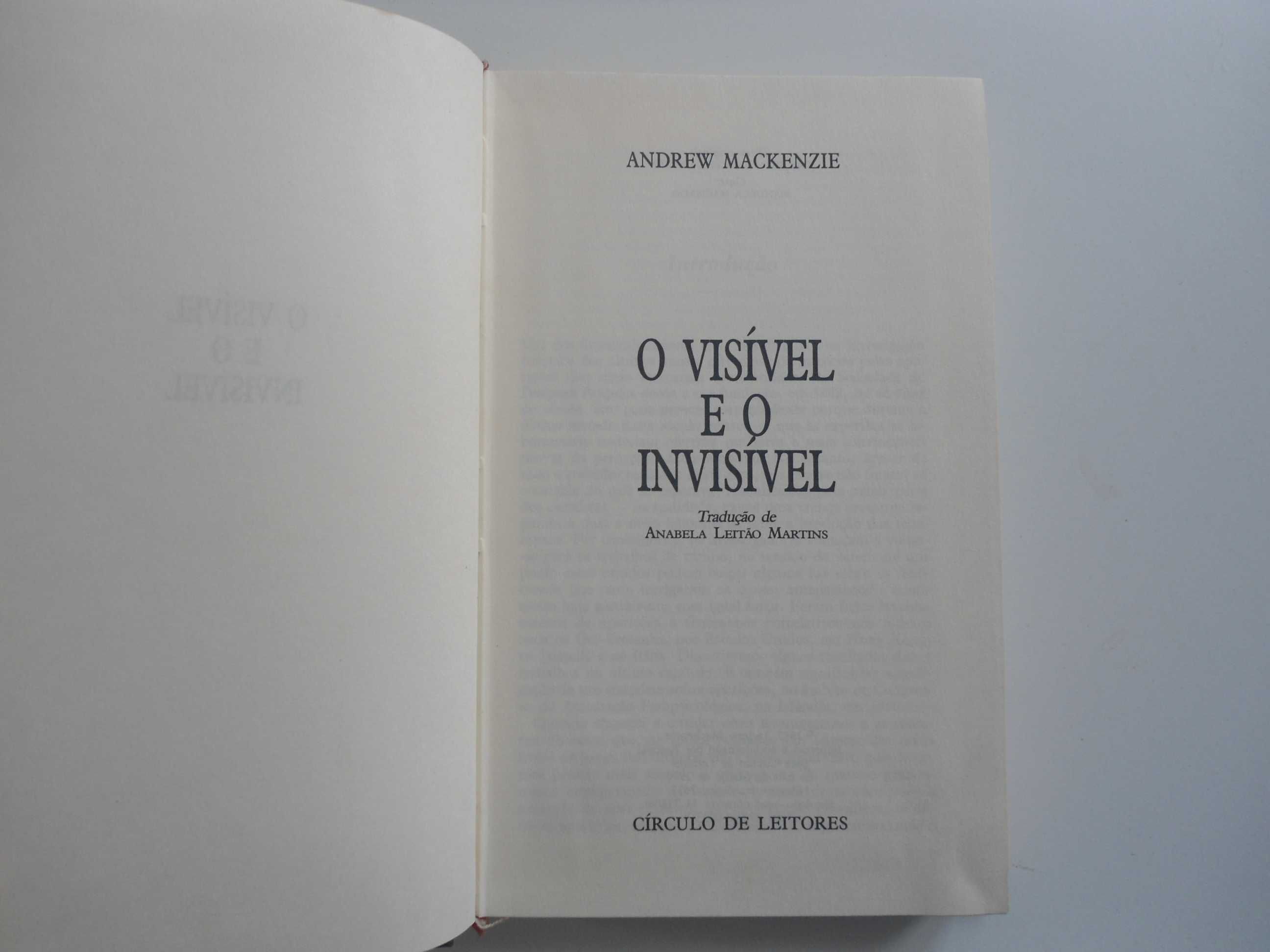 O Visível e o Invisível por Andrew Mackenzie