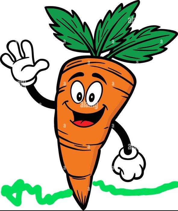 Marchew ,marchewka świerza