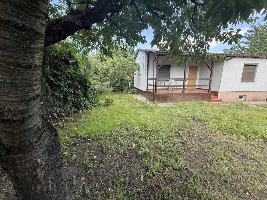 Dzialka ROD im. M. Palacza w Poznaniu