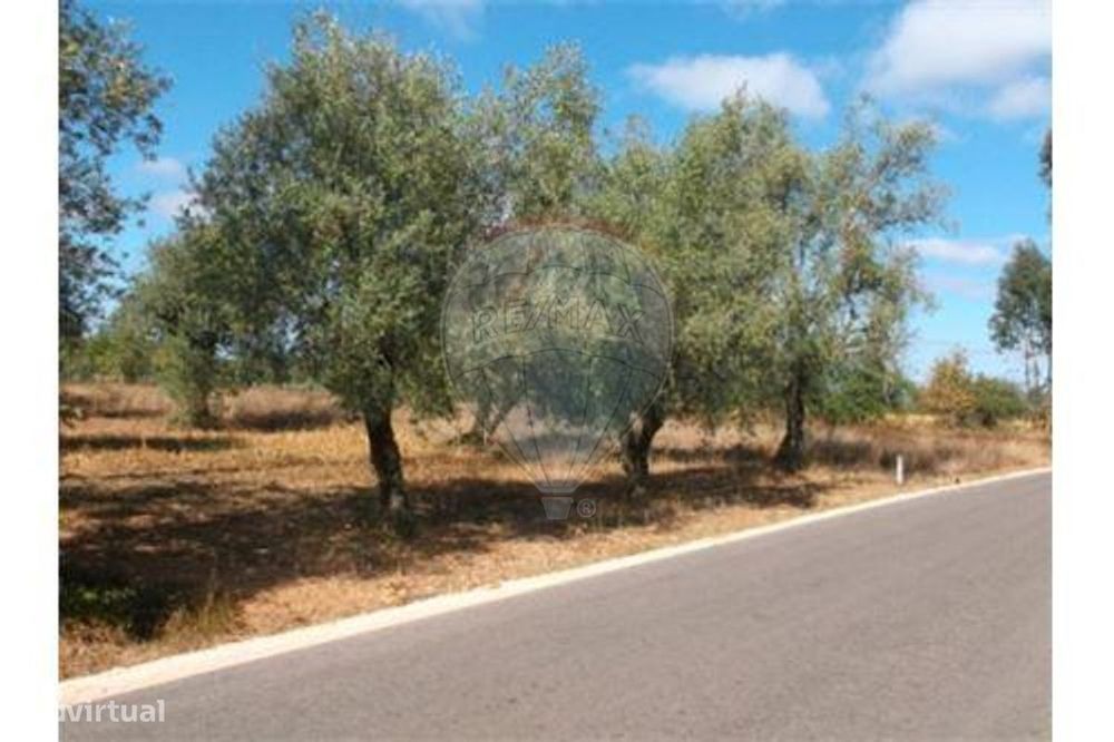 Terreno T0 para venda