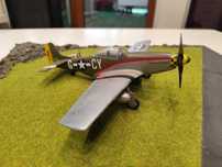 Model samolotu P51 D MUSTANG