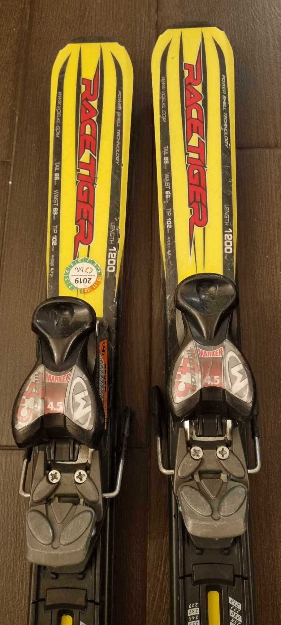 Narty Volki Race Tiger 120 cm + kijki Salomon Gratis