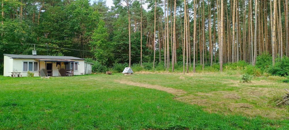 Sprzedam Działkę Leśno-Rekreacyjną