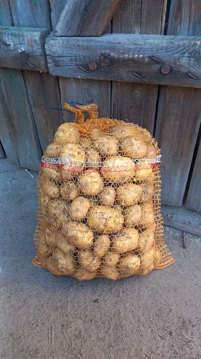 Ziemniaki Denar, ładne