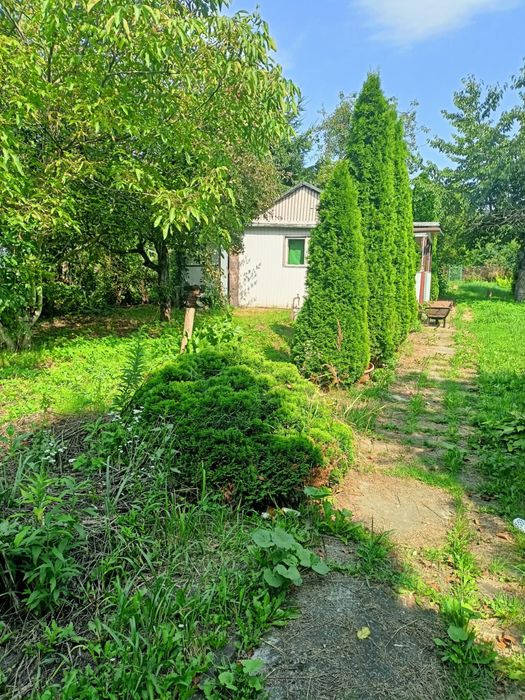 Ogród Działkowy NIWKA