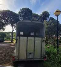 Atrelado transporte cavalo Bockman