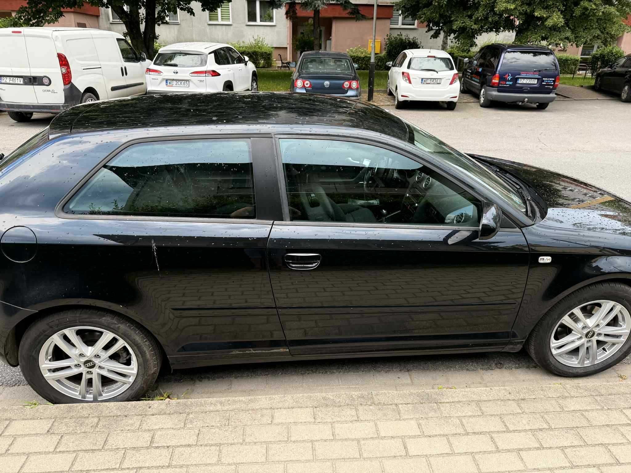 Audi A3 8P 1.9 TDI