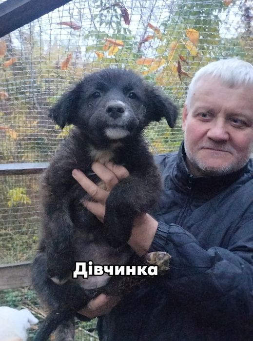 Солодкі булочки в добрі руки