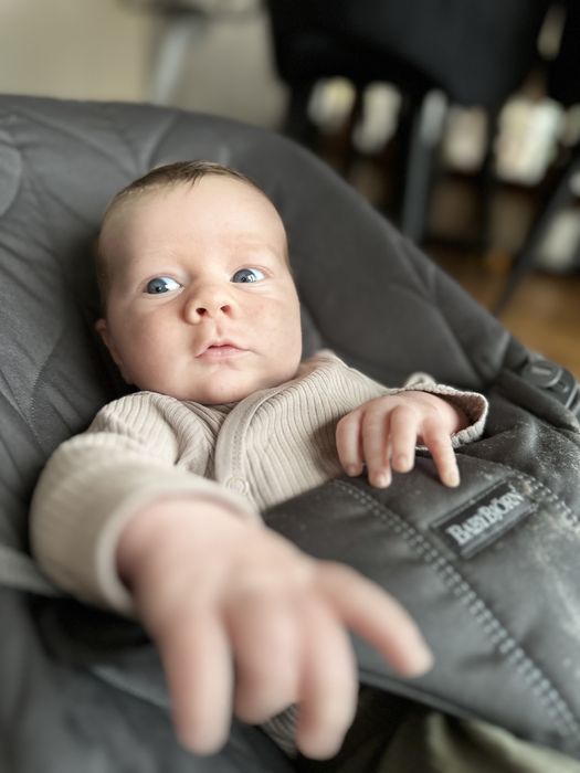 Bujaczek Lezaczek Babybjorn  Antracyt