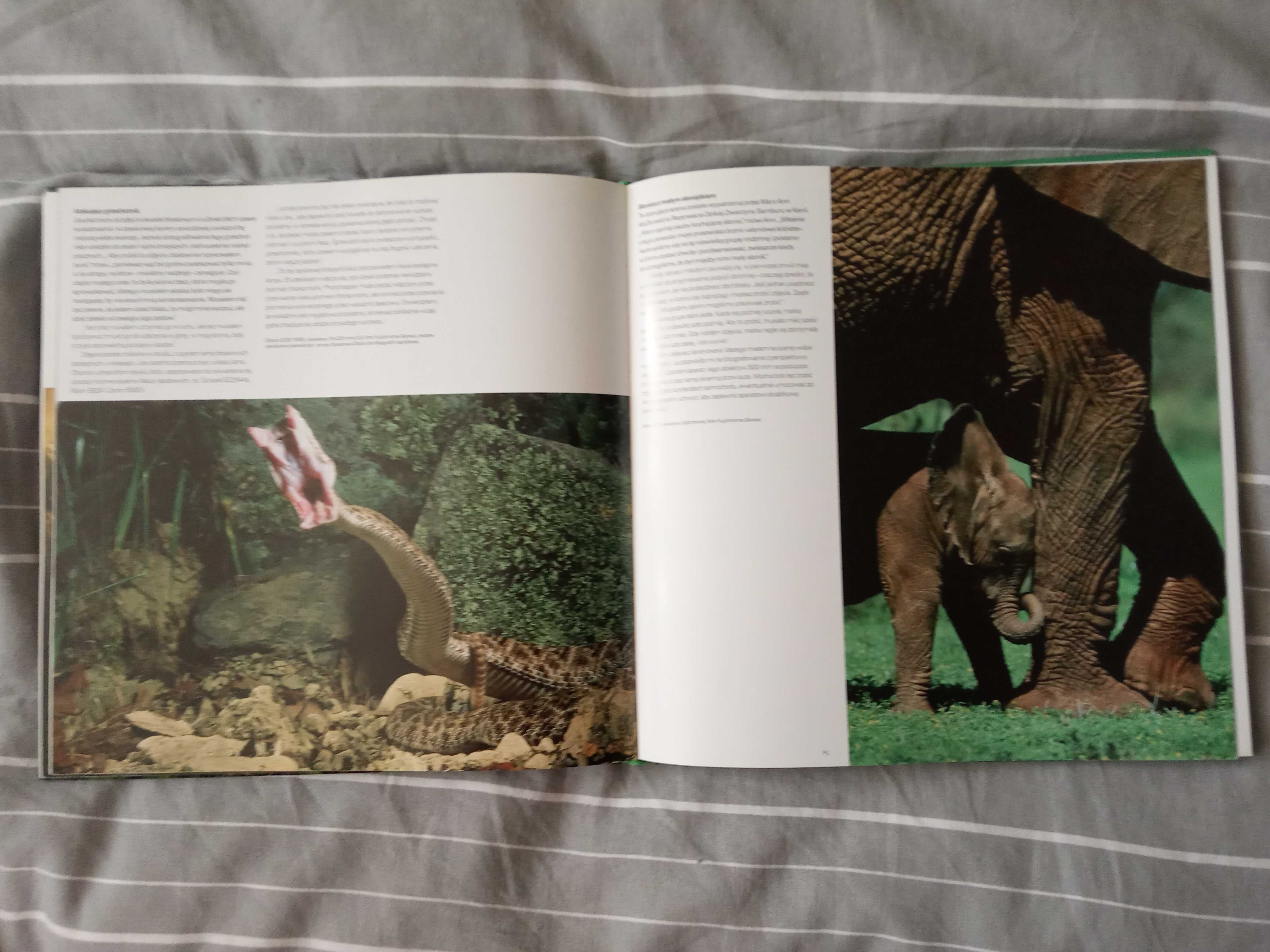 świat zwierząt, książka, zdjęcia