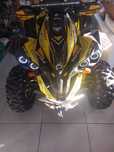 Can am renegade 1000