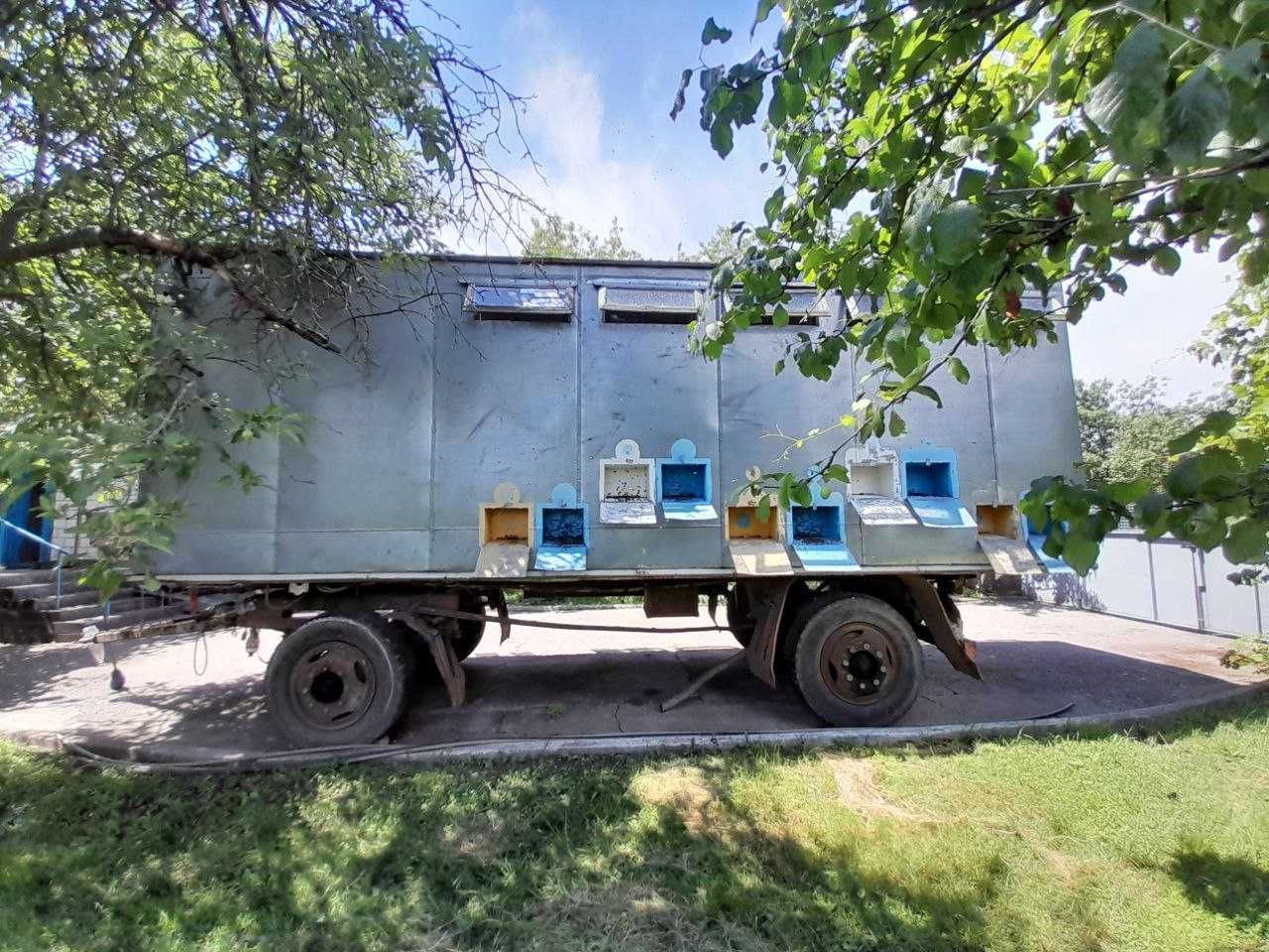 Продам пасіку з бджолами та інвентарем все під ключ