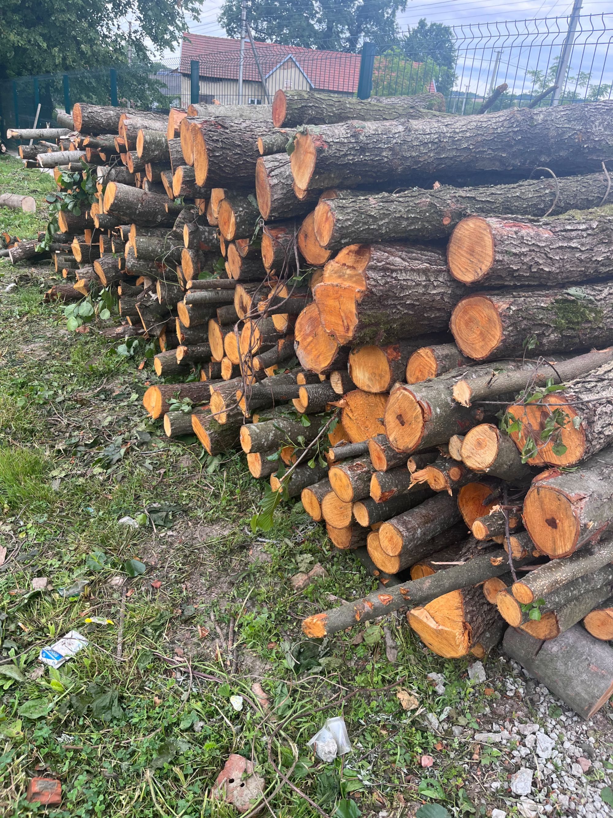 Дрова Лісництво Розділ 1500