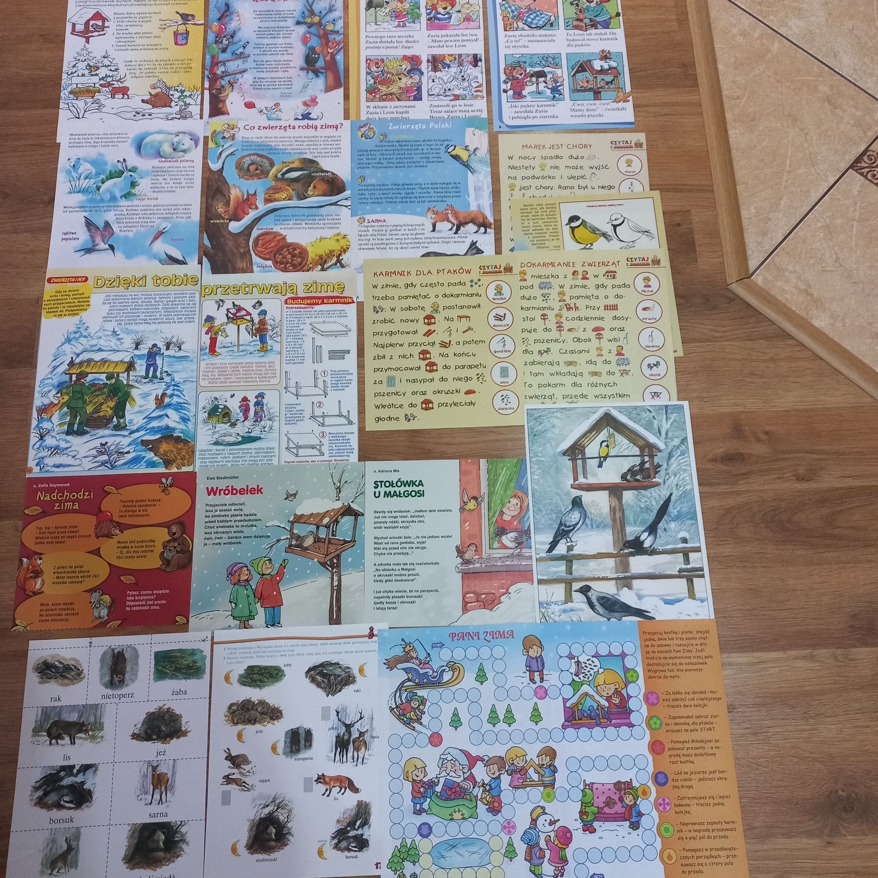 Pomagamy zwierzętom przetrwać zimę materiały edukacyjne dla dzieci