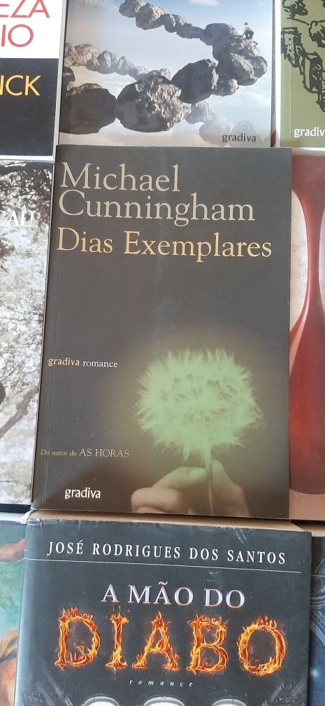 Livros em bom estado (Romances, Biografias e Ensaios)