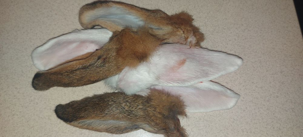 Вушка кролячі ( корм для собак))