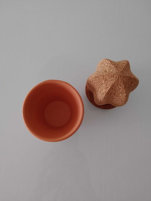 Cacto cortiça com vaso terracota