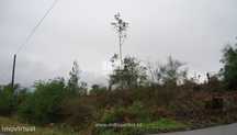 Terreno Vilarelho