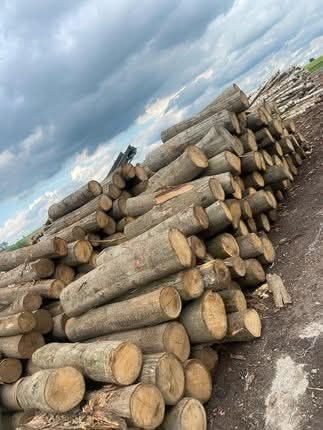 Drewno opałowe i kominkowe – Dąb, Buk, Grab, Brzoza, Sosna, Olcha,