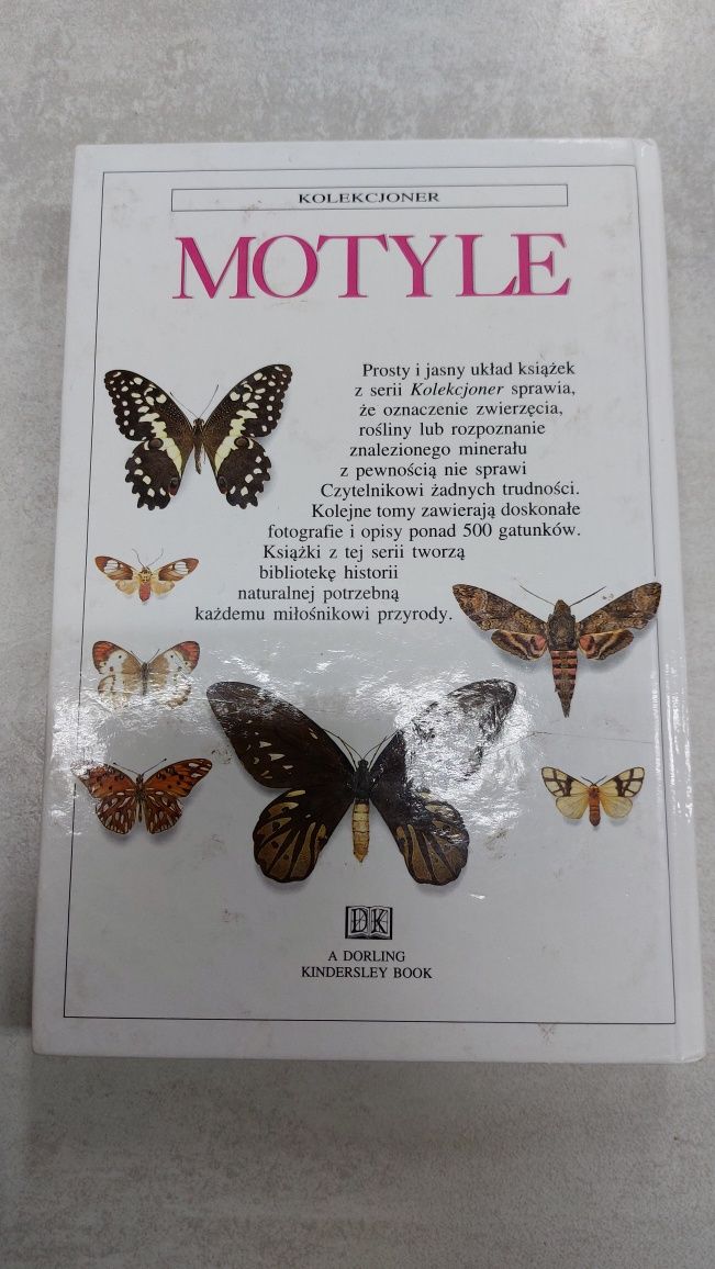 Motyle. David Carter