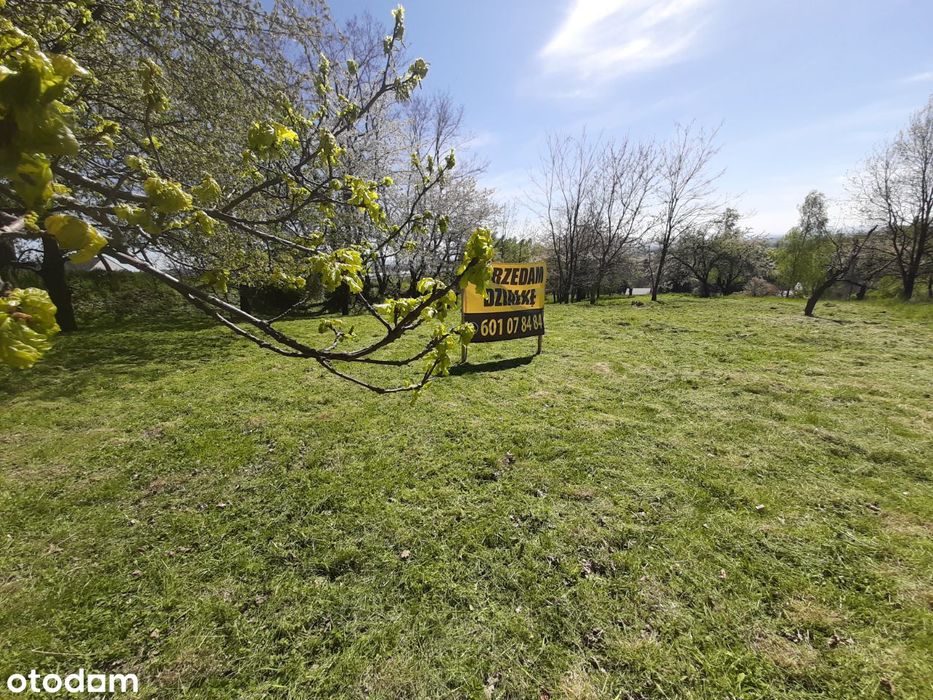 Balice - 14a - Urocza , Wrzosowa