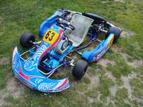 Gokard rotax 125