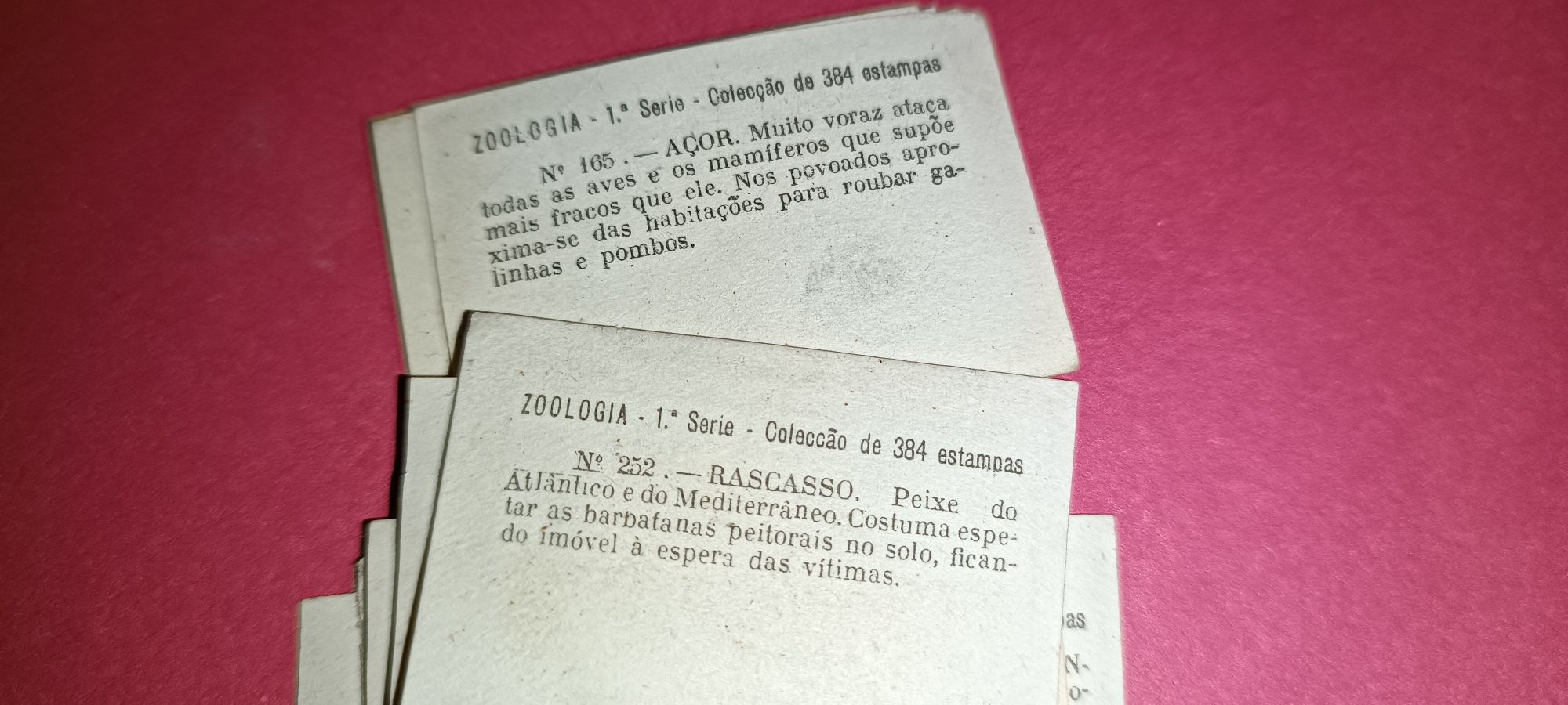 Antigos cromos da coleção zoologia 1 série