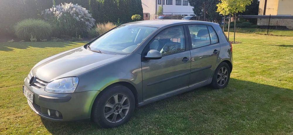 Volkswagen Golf Volkswagen Golf V 1.6 FSI Bardzo dobry stan techniczny