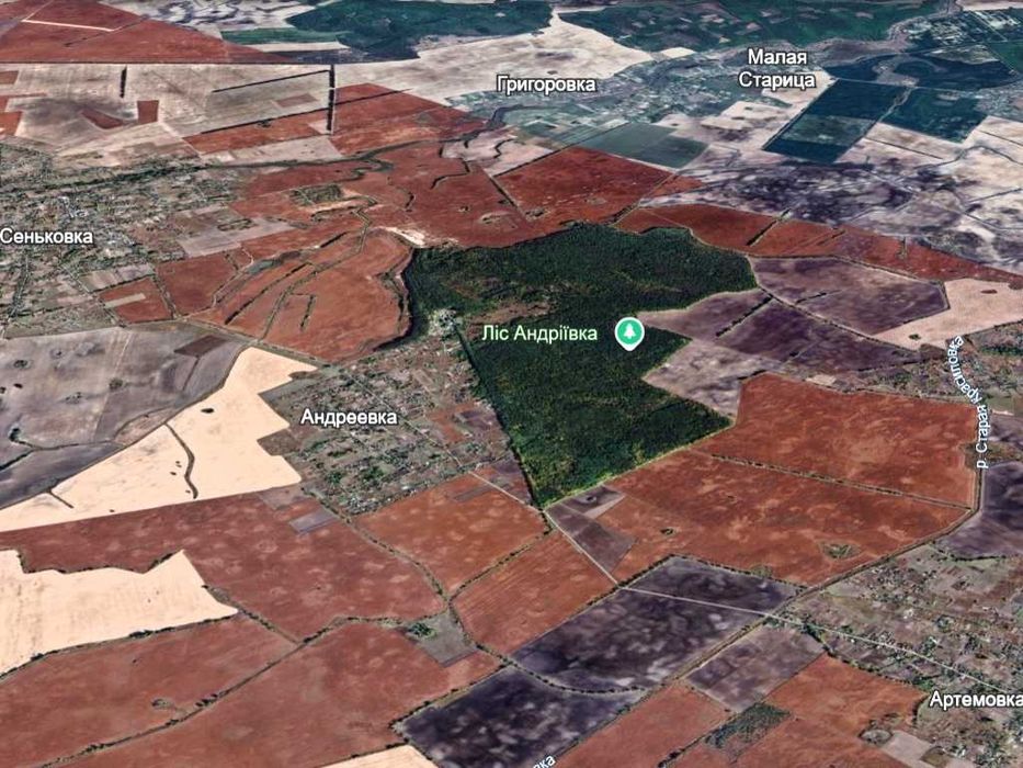 Участок для дома на опушке большого леса Андреевка Бориспольский р-н