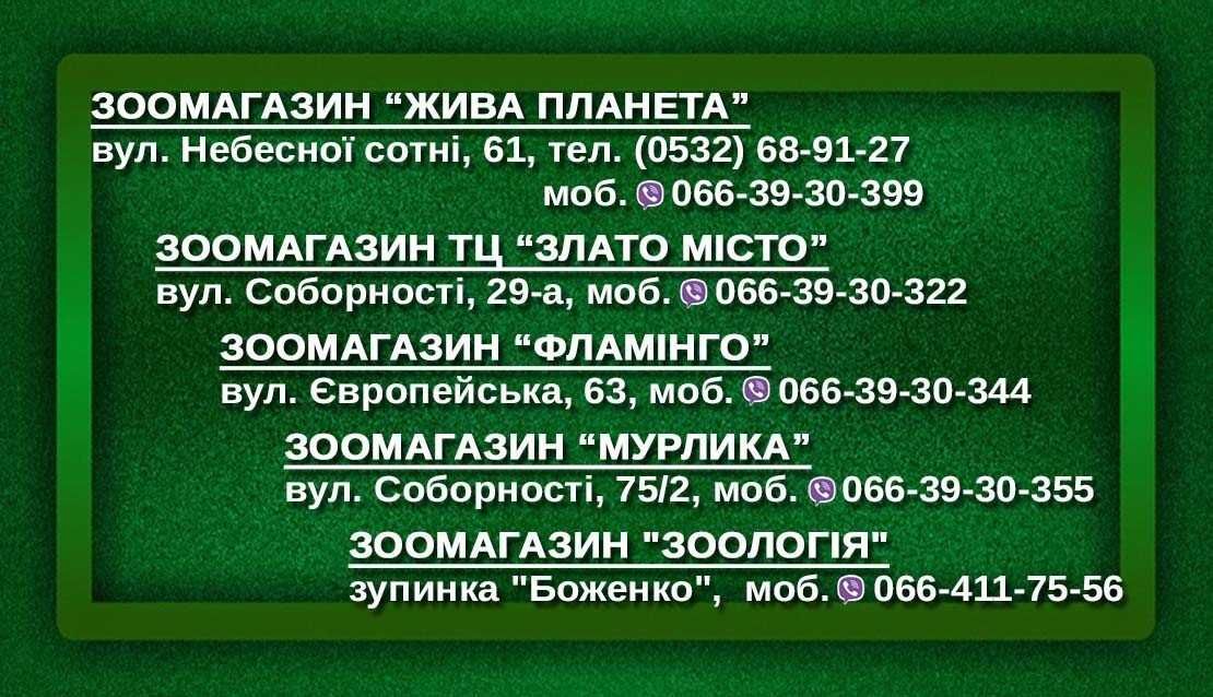 Корм для собак і кішок з Германії та Європи ! Акція!