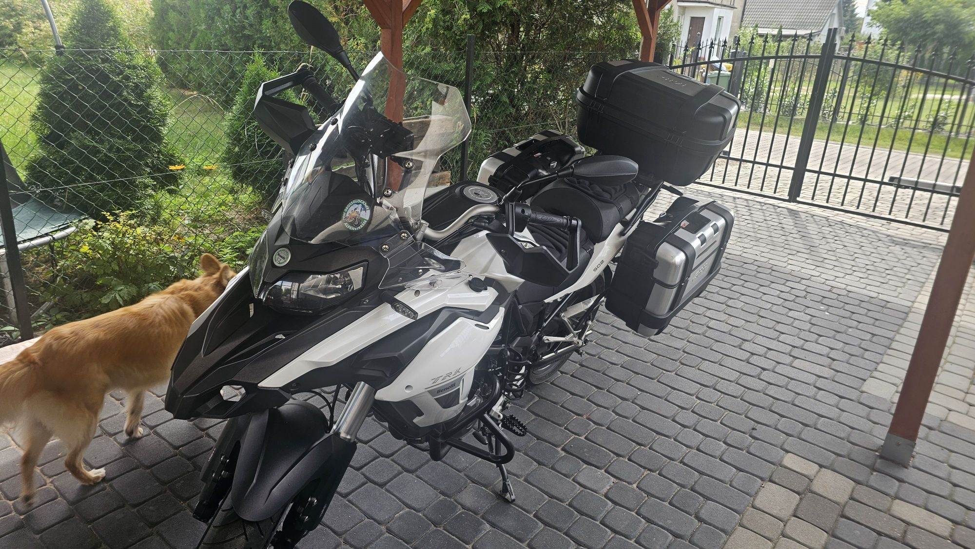 Motor Benelli TRK 502