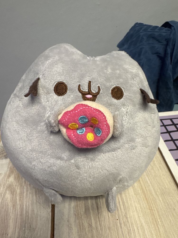 Pusheen maskotka pp
