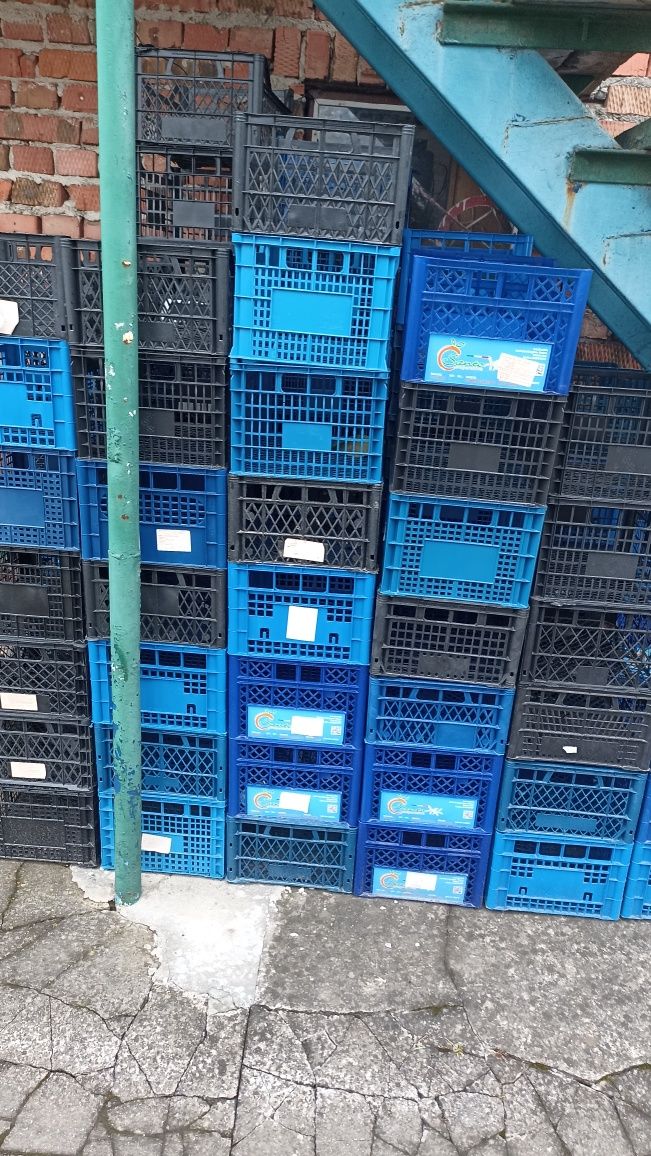 Продам ящики пласмасові.