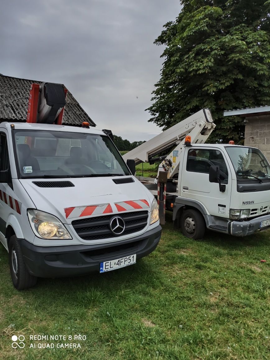 wynajem podnośnika koszowego 21 m , zwyżka Łódź, Cięcie drzew