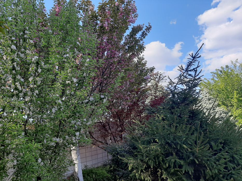 Продам участок на Гагарина, Материк