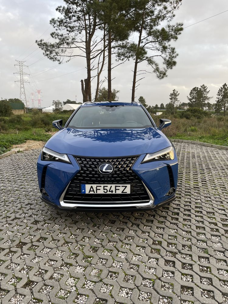 Lexus ux300e luxury