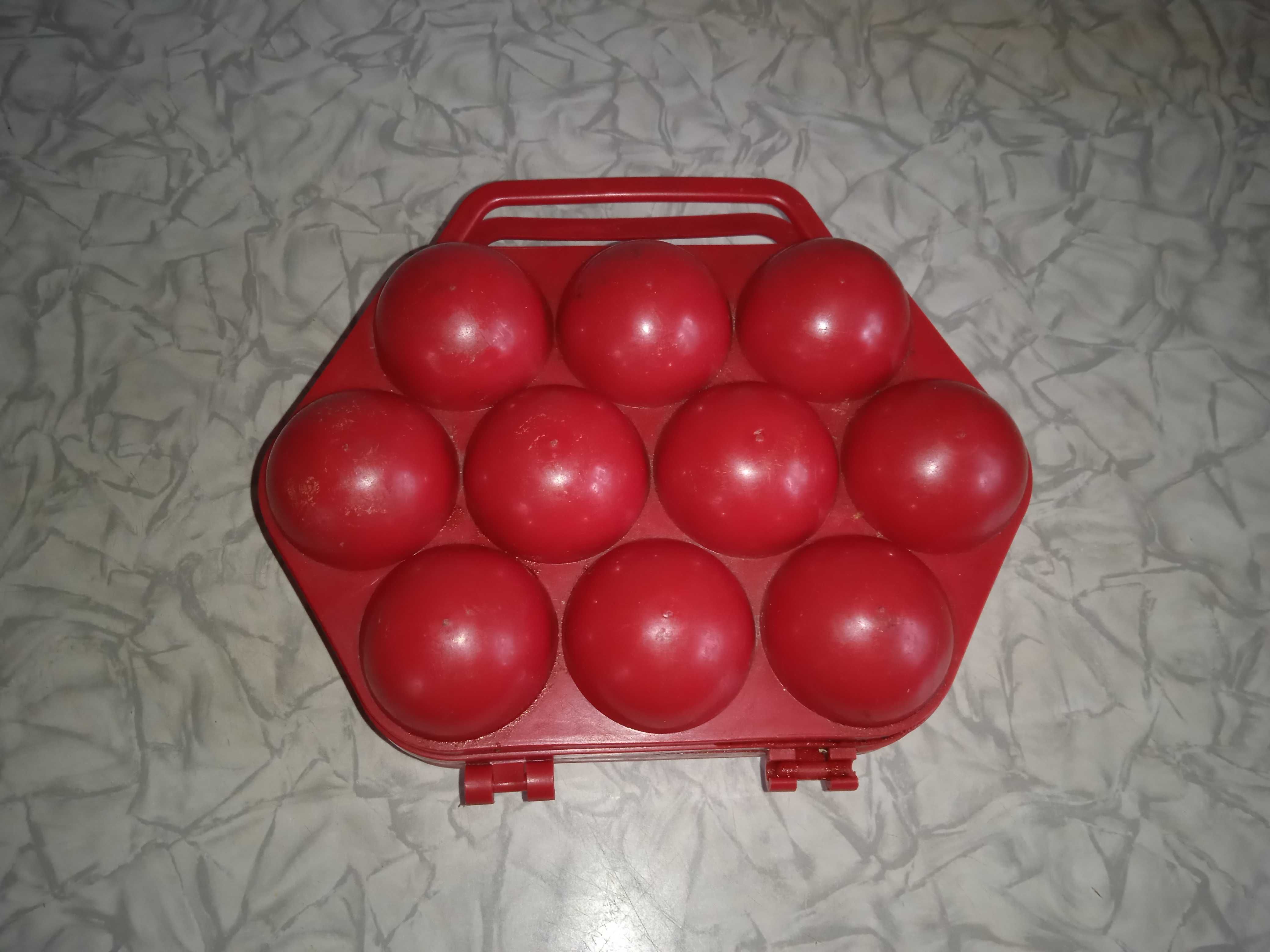 Лоток для яиц на 10 штук, 18х12 см.