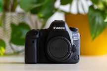 Canon EOS 6D mark II (Przebieg - 373 zdjęcia)