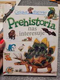 Ciekawe dlaczego, Prehistoria nas interesuje?