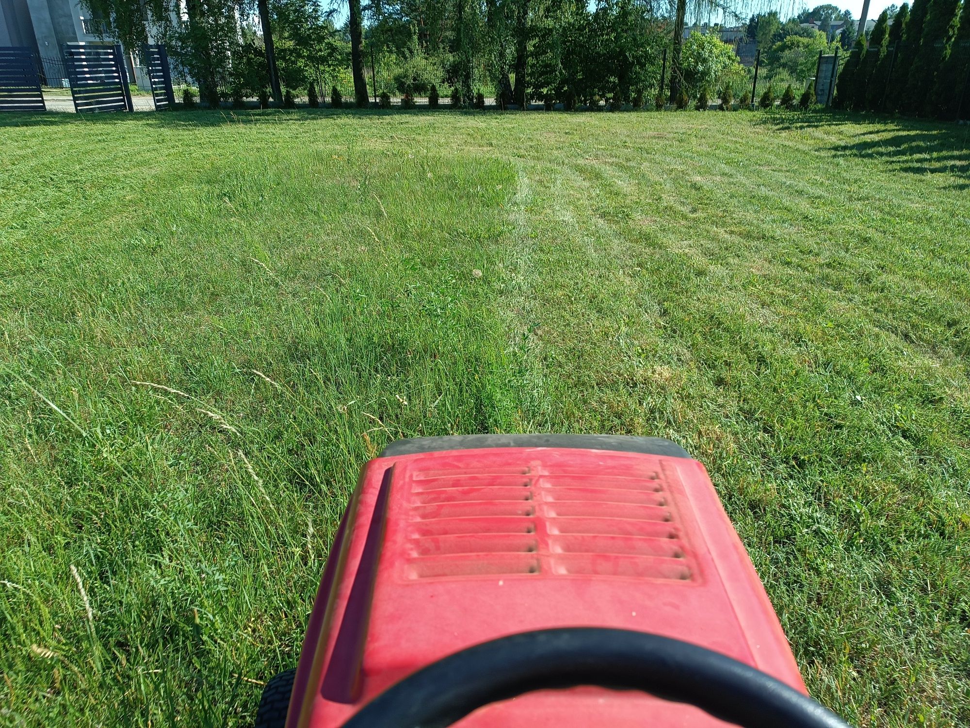 Koszenie trawy trawników wycinka drzew
