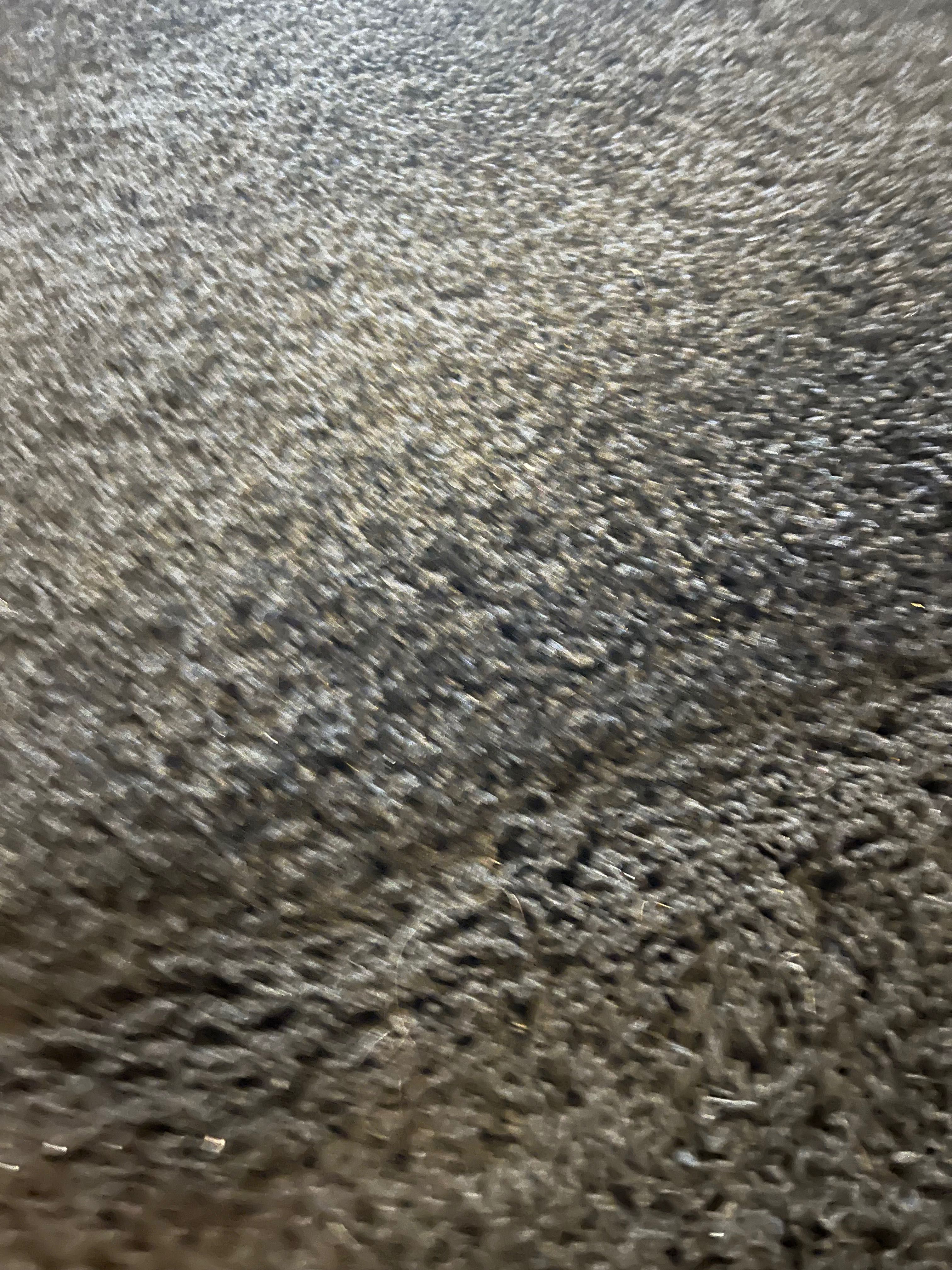 Tapete Pelo Curto