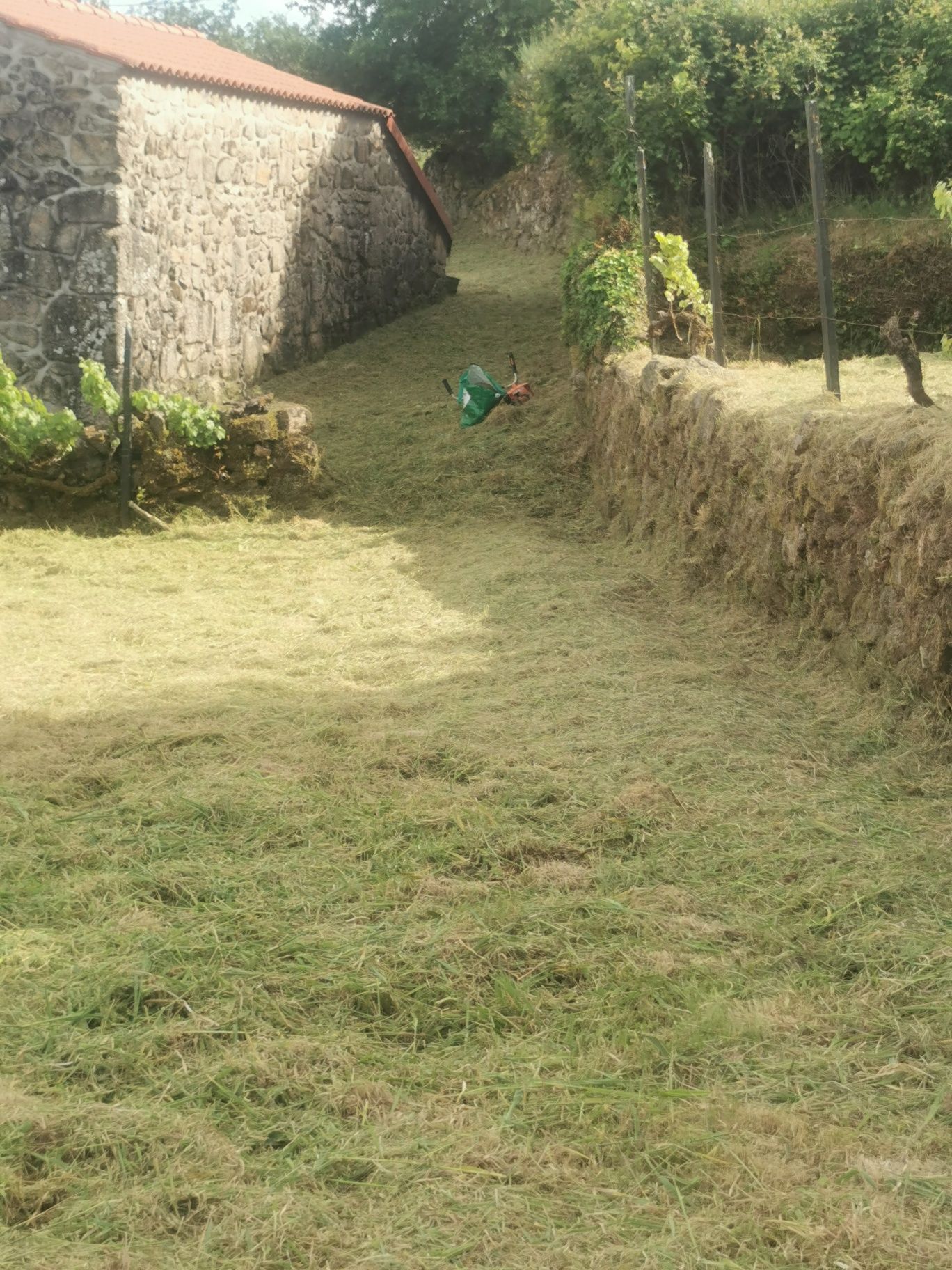 Terreno na zona do Caramulo