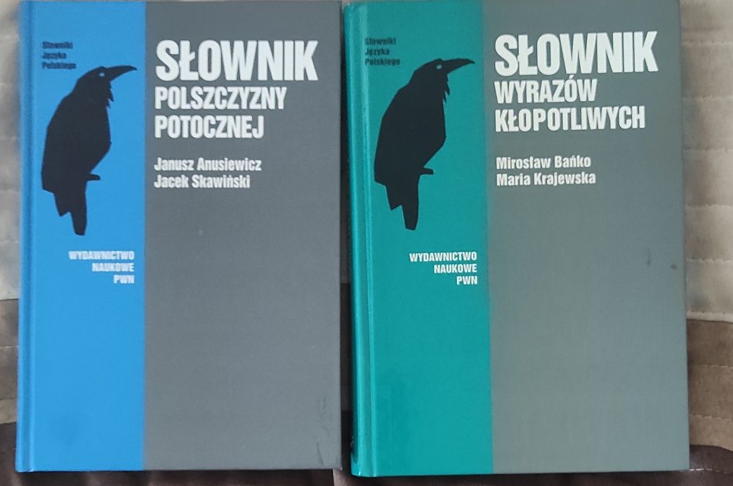 Słownik polszczyzny potocznej Słownik wyrazów kłopotliwych