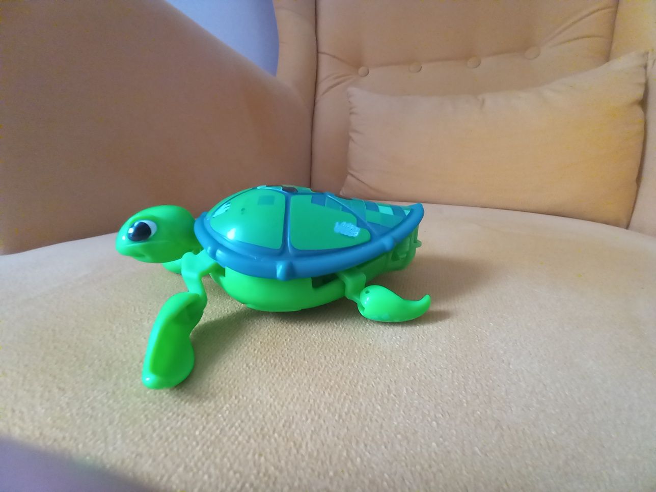 Żółwik zabawka do kąpieli