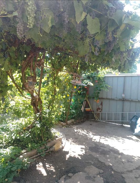 Сдам комнату  в доме, м. Киевская 10 мин. пешком