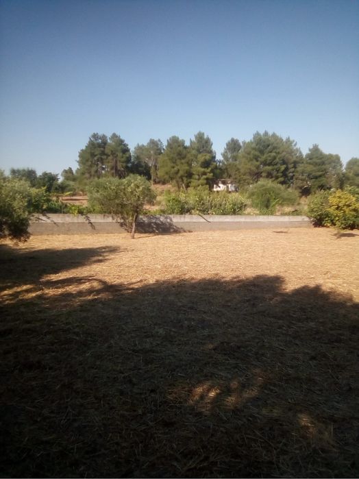 Terreno murado aldeia orca