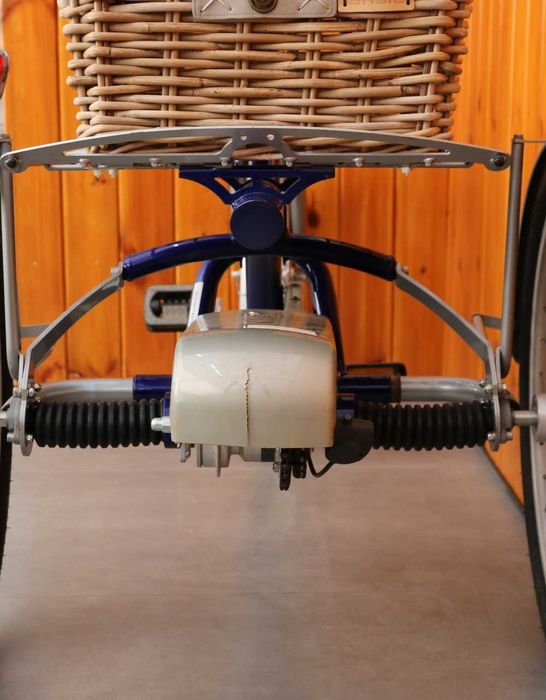 Trójkołowy rower rehabilitacyjny Vanraam