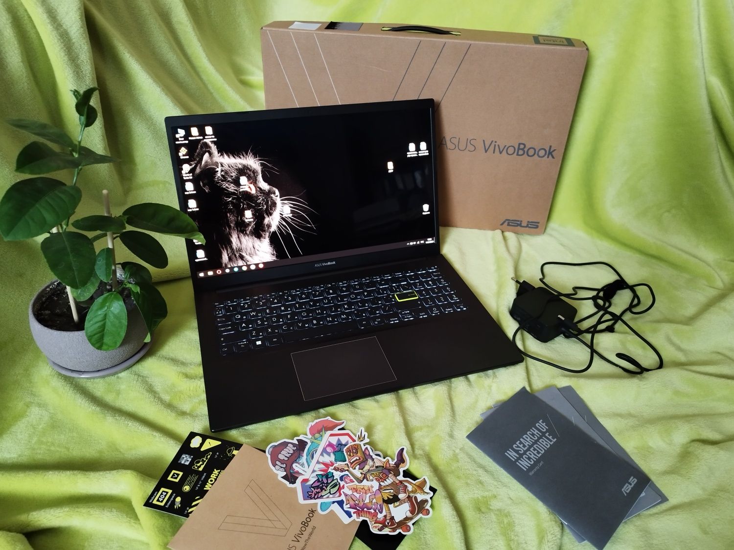 Ноутбук для графики Asus Vivobook OLED K513E